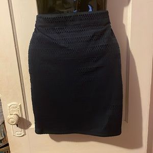 Navy Pencil Skirt